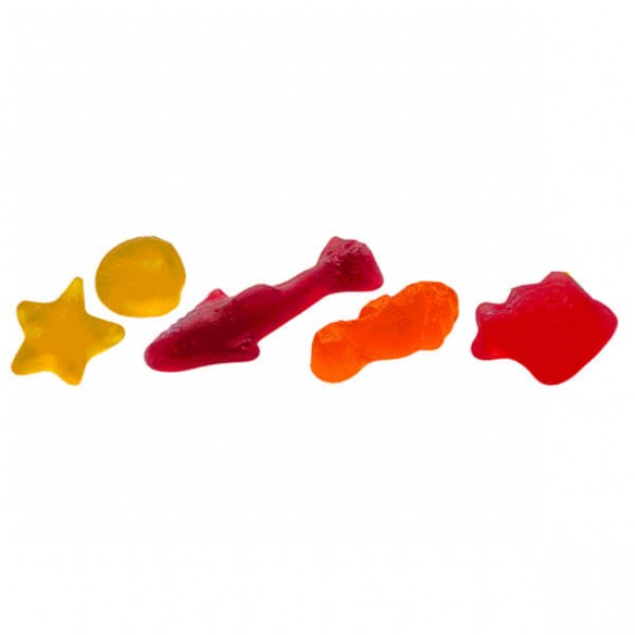 Bebeto Ocean Park Jelly Gum